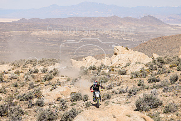 IMG_3834-115j