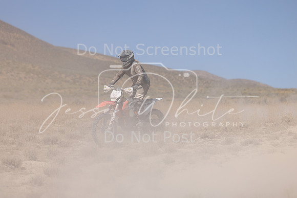 IMG_3943-99n