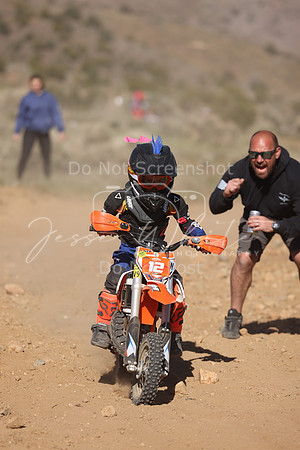 IMG_6387-12