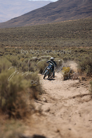 IMG_4644-3w