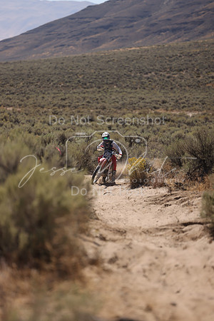 IMG_4681-177n