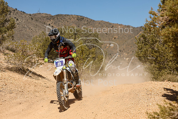 IMG_7399-19