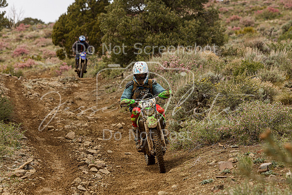 IMG_2222-426