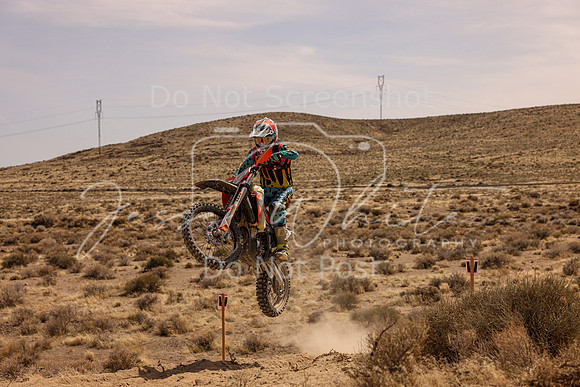 IMG_3714-311n
