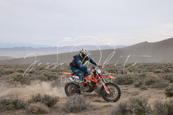 IMG_7695-73a