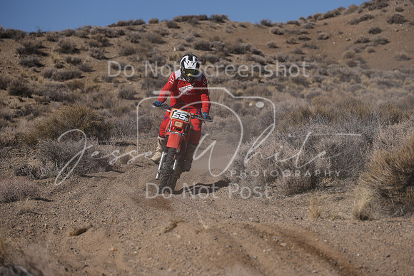 IMG_9356-55b