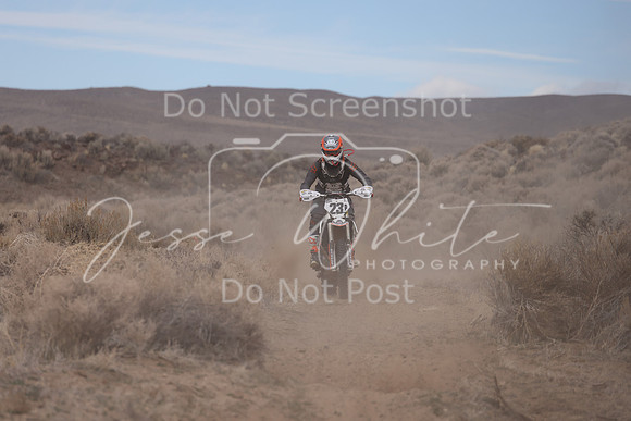 IMG_2410-23p