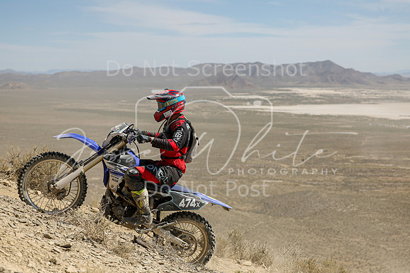 IMG_3733-474x