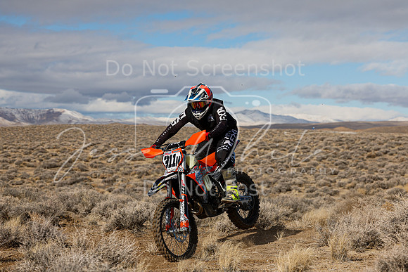 IMG_2033-311n