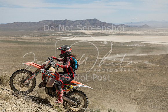 IMG_3590-n199l