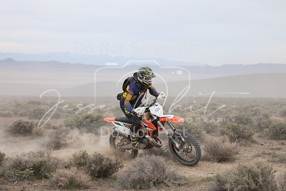 IMG_7541-53a