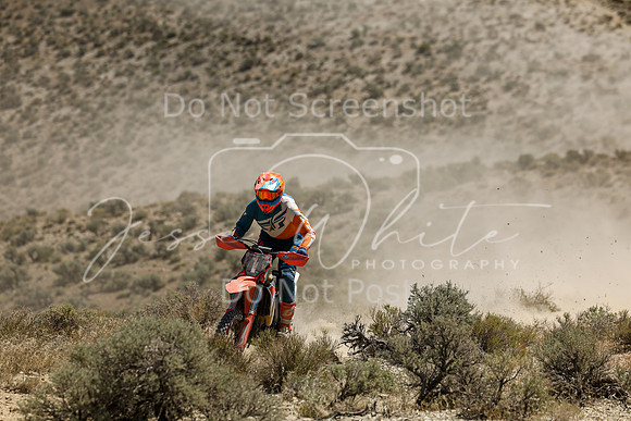 IMG_3186-n1v