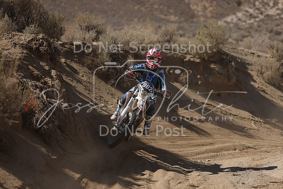 IMG_7237-902v