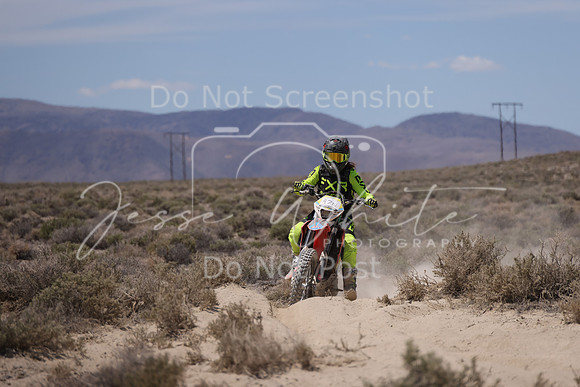 IMG_5462-97n