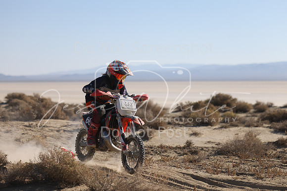 IMG_6646-66y