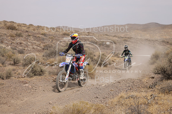 IMG_9340-113v