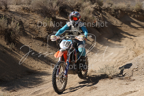 IMG_7028-48v