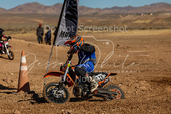IMG_4274-375y