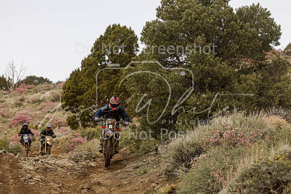 IMG_2245-428