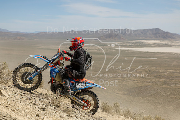 IMG_3791-nt790