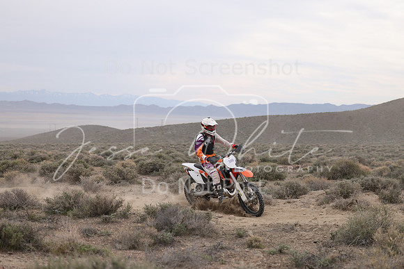 IMG_8100-39b