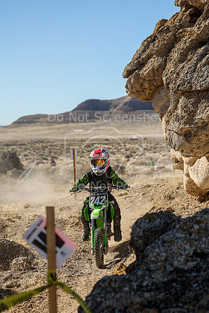 IMG_5540-242y
