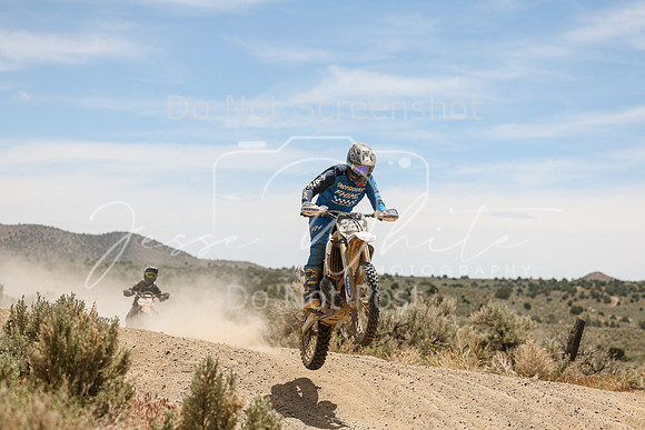 IMG_3881-221n