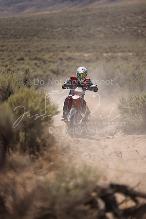IMG_4539-359m