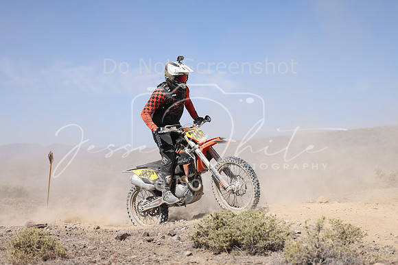 IMG_3823-383n