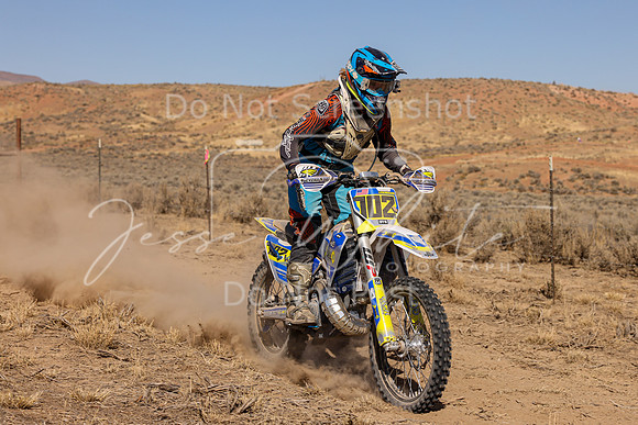 IMG_3100-702w