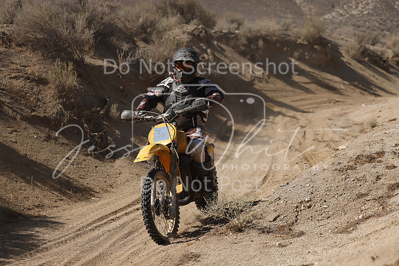 IMG_7183-3b