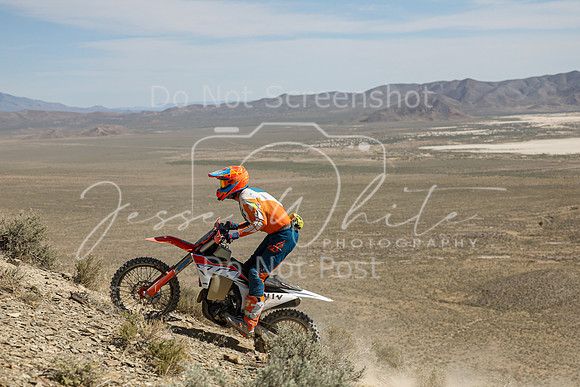 IMG_3191-n1v