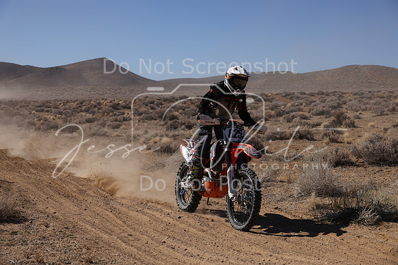 IMG_8524-825v