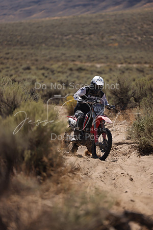 IMG_4662-412m