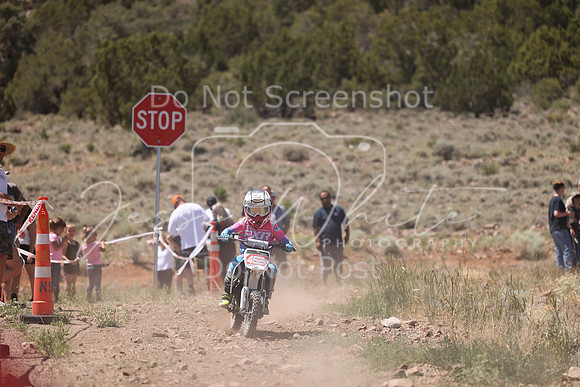 IMG_4379-452p