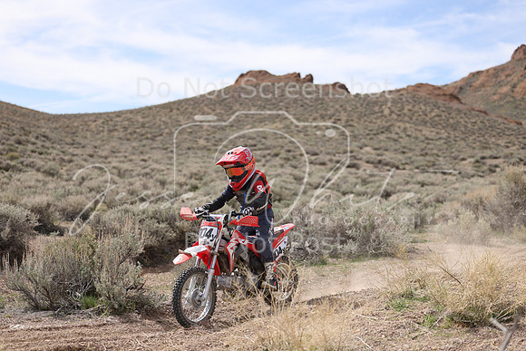 IMG_6313-104y