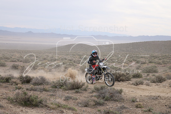IMG_8207-54b