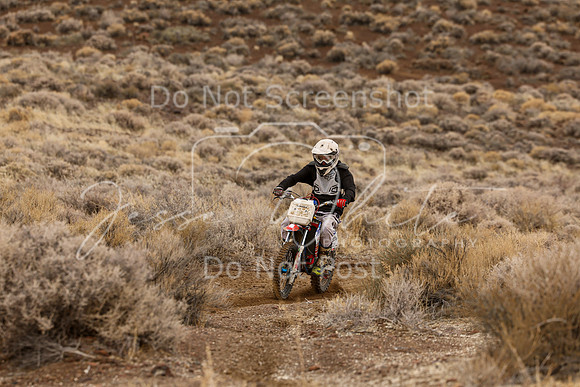 IMG_0835-432j