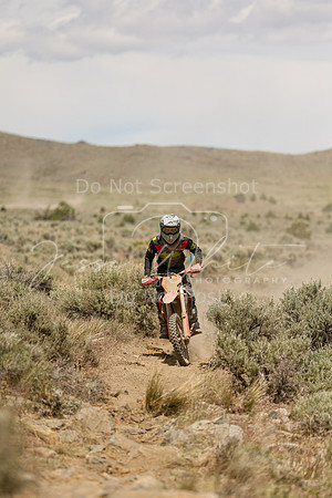 IMG_4939-223n