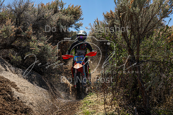 IMG_0362-191v
