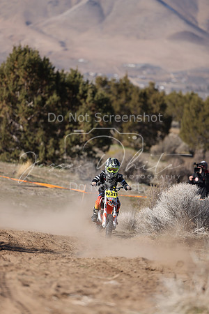 IMG_5361-n2p