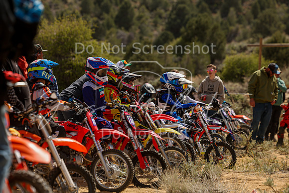 IMG_2253-