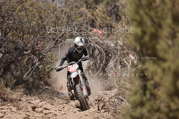 IMG_8205-x199