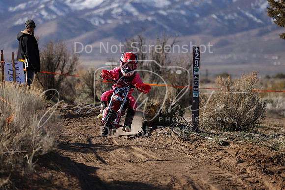 IMG_5428-nt370