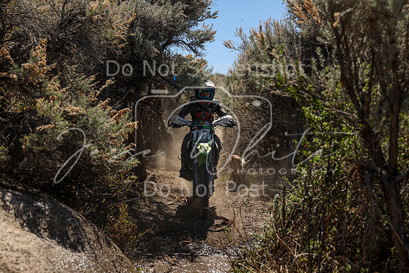 IMG_0550-117v