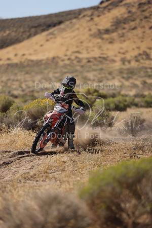IMG_3317-37j
