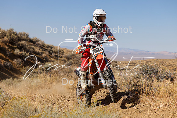 IMG_9453-565p