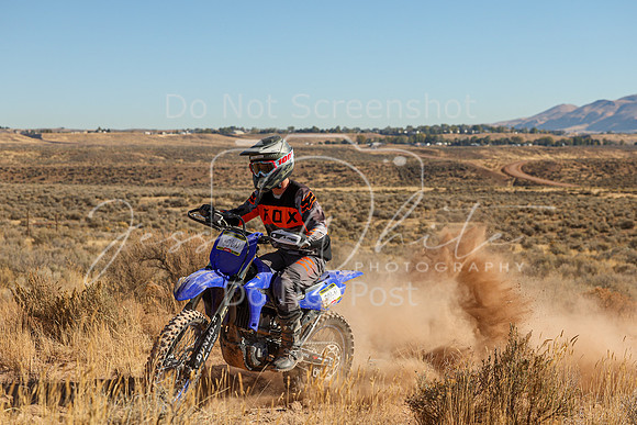 IMG_6100-806n