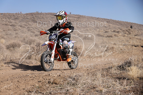 IMG_7849-888y