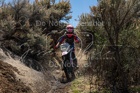 IMG_0524-608j